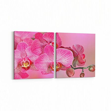 Olla 11738K2Y Orkide Çiçek Görseli 2'li Yatay Kanvas Tablo (Ölçü: 125X60)