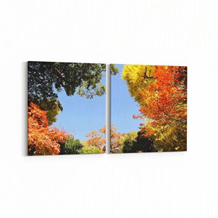Olla 10923K2Y Ağaç Görseli Kare 2'li Yatay Kanvas Tablo (Ölçü: 145X70)