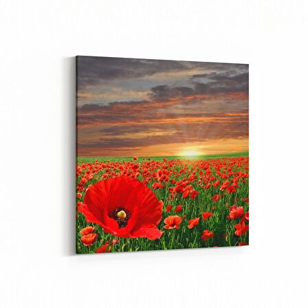 Olla 16071K Günbatımı Görseli Kare Kanvas Tablo (Ölçü: 25X25)