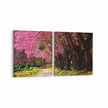 Olla 13347K2Y Doğa / Manzara Görseli Kare 2'li Yatay Kanvas Tablo (Ölçü: 65X30)