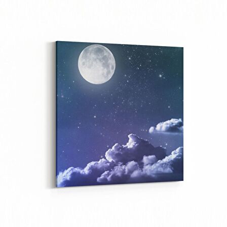 Olla 14665K Gece Gökyüzü Görseli Kare Kanvas Tablo (Ölçü: 25X25)