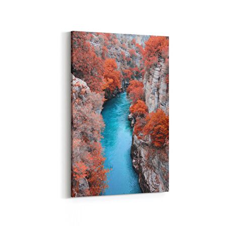 Olla 13299D Doğa / Manzara Görseli Dikey Kanvas Tablo (Ölçü: 100X150)