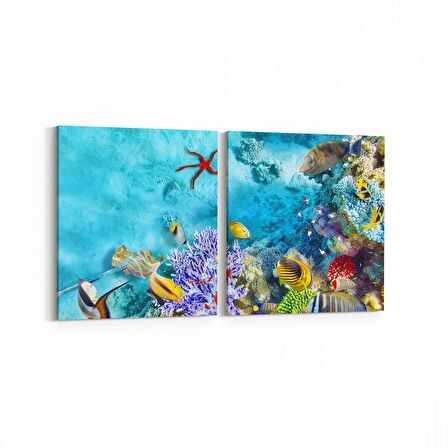 Olla 12129K2Y Akvaryum / Balık Görseli Kare 2'li Yatay Kanvas Tablo (Ölçü: 145X70)