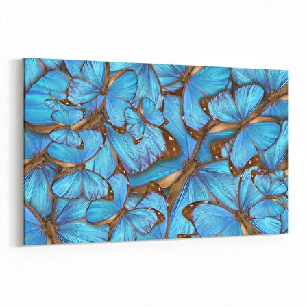 Olla 12569Y Hayvanlar Alemi Görseli Yatay Kanvas Tablo (Ölçü: 30X20)