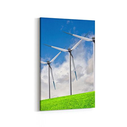 Olla 14219D Doğa / Manzara Görseli Dikey Kanvas Tablo (Ölçü: 60X90)