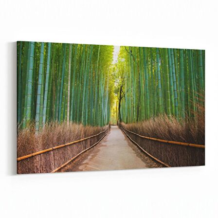 Olla 13646Y Doğa / Manzara Görseli Yatay Kanvas Tablo (Ölçü: 45X30)