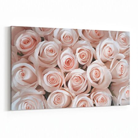Olla 11620Y Çiçek Görseli Yatay Kanvas Tablo (Ölçü: 30X20)
