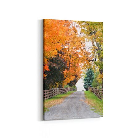 Olla 13293D Doğa / Manzara Görseli Dikey Kanvas Tablo (Ölçü: 100X150)