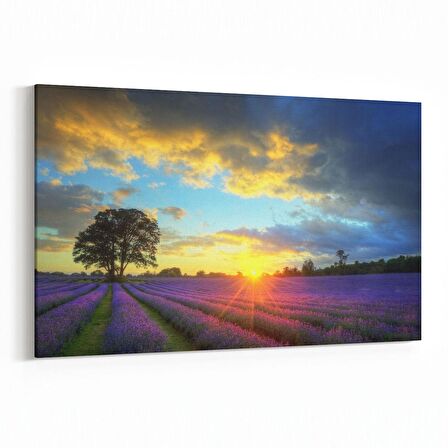 Olla 16112Y Günbatımı Görseli Yatay Kanvas Tablo (Ölçü: 90X60)