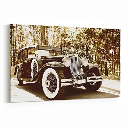 Olla 12341Y Araç Görseli Yatay Kanvas Tablo (Ölçü: 45X30)