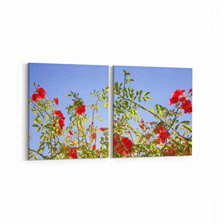 Olla 10707K2Y Ağaç Görseli Kare 2'li Yatay Kanvas Tablo (Ölçü: 145X70)