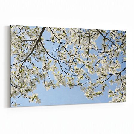 Olla 10865Y Ağaç Görseli Yatay Kanvas Tablo (Ölçü: 90X60)