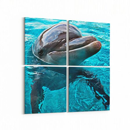 Olla 12877K4 Deniz / Okyanus Görseli Kare 4'lü Kanvas Tablo (Ölçü: 125X125)