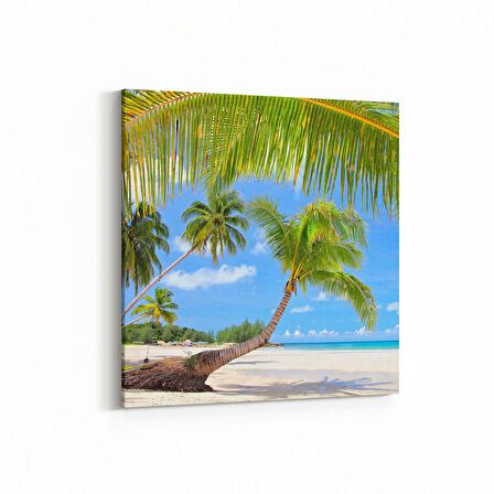 Olla 16501K Kumsal / Sahil Görseli Kare Kanvas Tablo (Ölçü: 25X25)