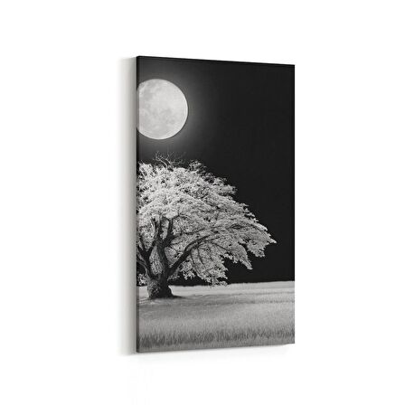 Olla 14475DD Doğa / Manzara Görseli Dikey Dar Kanvas Tablo (Ölçü: 30X60)