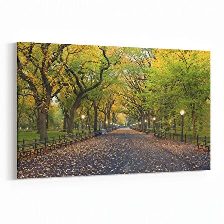 Olla 13297Y Doğa / Manzara Görseli Yatay Kanvas Tablo (Ölçü: 45X30)