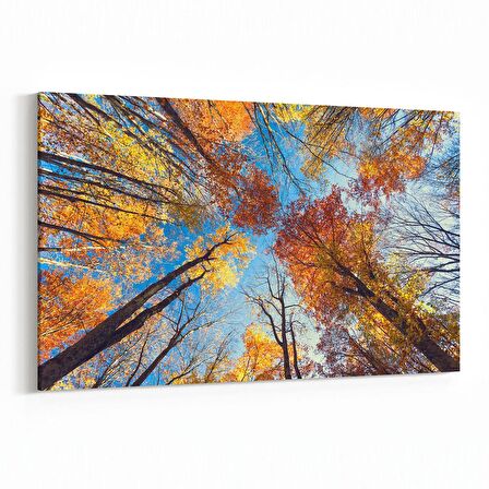 Olla 10750Y Ağaç Görseli Yatay Kanvas Tablo (Ölçü: 90X60)