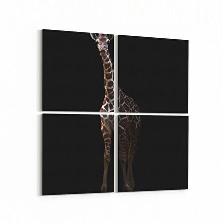 Olla 12467K4 Hayvanlar Alemi Görseli Kare 4'lü Kanvas Tablo (Ölçü: 65X65)