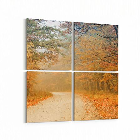Olla 14094K4 Doğa / Manzara Görseli Kare 4'lü Kanvas Tablo (Ölçü: 125X125)