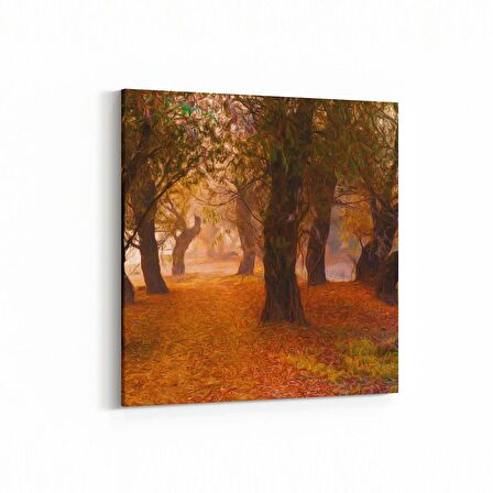 Olla 14584K Doğa / Manzara Görseli Kare Kanvas Tablo (Ölçü: 25X25)
