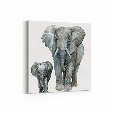 Olla 12460K Hayvanlar Alemi Görseli Kare Kanvas Tablo (Ölçü: 30X30)