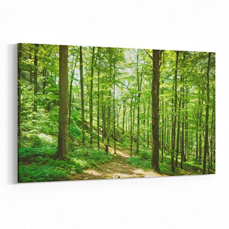 Olla 13850Y Doğa / Manzara Görseli Yatay Kanvas Tablo (Ölçü: 45X30)