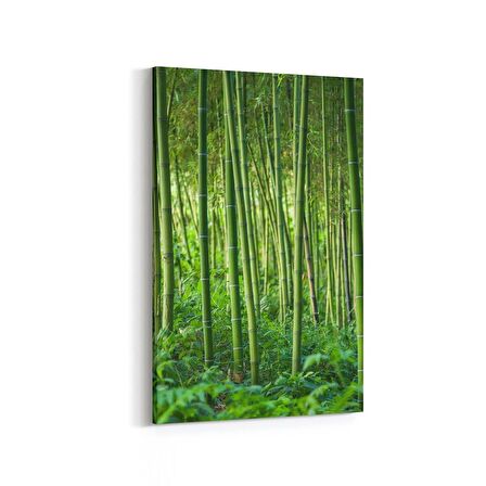 Olla 13552D Doğa / Manzara Görseli Dikey Kanvas Tablo (Ölçü: 60X90)