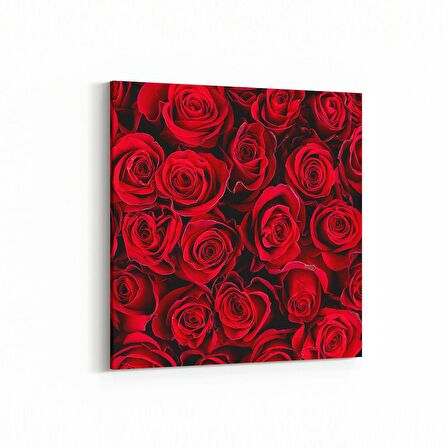 Olla 11629K Çiçek Görseli Kare Kanvas Tablo (Ölçü: 100X100)
