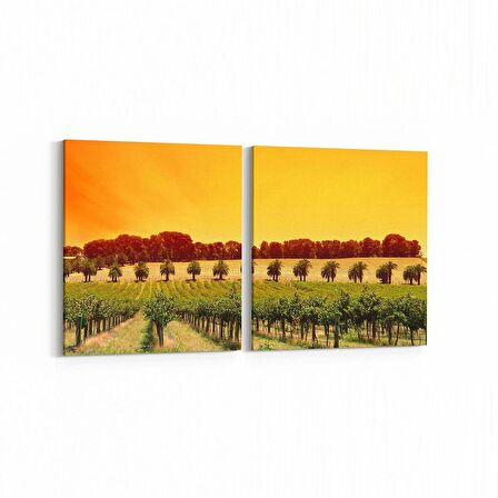 Olla 13815K2Y Doğa / Manzara Görseli Kare 2'li Yatay Kanvas Tablo (Ölçü: 145X70)