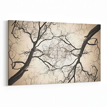 Olla 10608Y Ağaç Görseli Yatay Kanvas Tablo (Ölçü: 120X80)