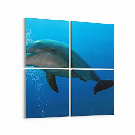 Olla 12956K4 Deniz / Okyanus Görseli Kare 4'lü Kanvas Tablo (Ölçü: 145X145)