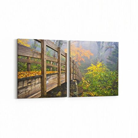 Olla 14580K2Y Doğa / Manzara Görseli Kare 2'li Yatay Kanvas Tablo (Ölçü: 105X50)