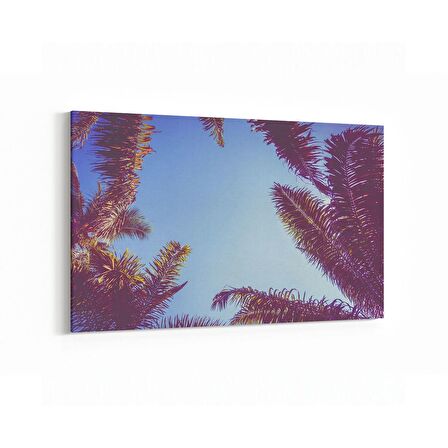 Olla 11525Y Palmiye Ağacı Görseli Yatay Kanvas Tablo (Ölçü: 150X100)