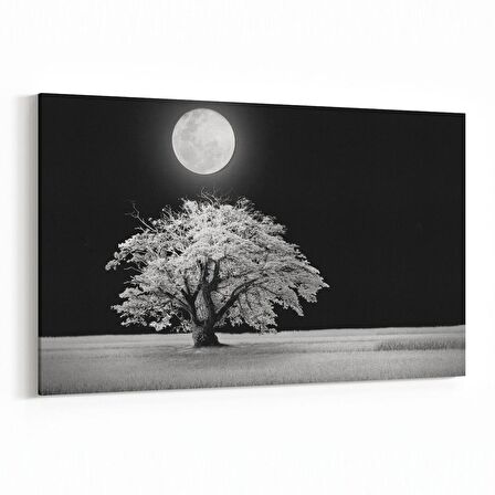 Olla 14475Y Doğa / Manzara Görseli Yatay Kanvas Tablo (Ölçü: 150X100)