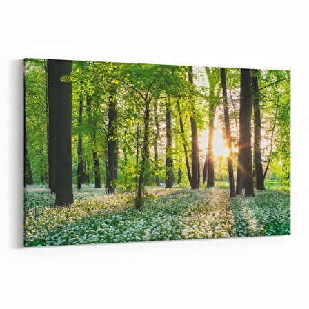 Olla 14017Y Doğa / Manzara Görseli Yatay Kanvas Tablo (Ölçü: 90X60)