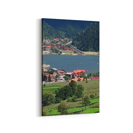 Olla 18889D Yapı Görseli Dikey Kanvas Tablo (Ölçü: 100X150)