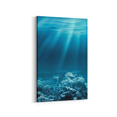 Olla 12927D Deniz / Okyanus Görseli Dikey Kanvas Tablo (Ölçü: 40X60)
