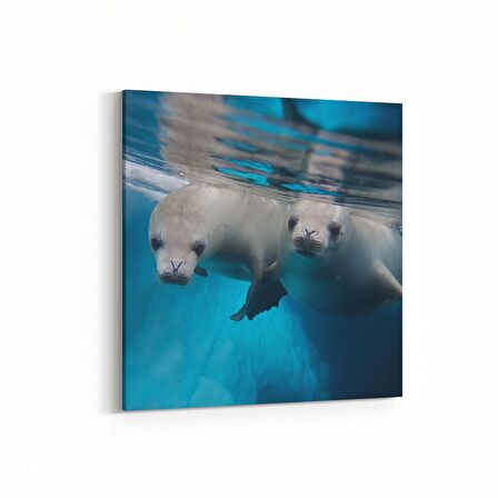 Olla 13035K Deniz / Okyanus Görseli Kare Kanvas Tablo (Ölçü: 100X100)