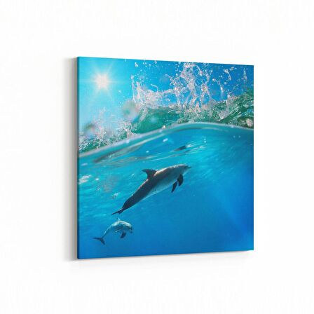 Olla 12917K Deniz / Okyanus Görseli Kare Kanvas Tablo (Ölçü: 25X25)