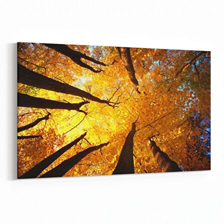 Olla 11039Y Ağaç Görseli Yatay Kanvas Tablo (Ölçü: 120X80)