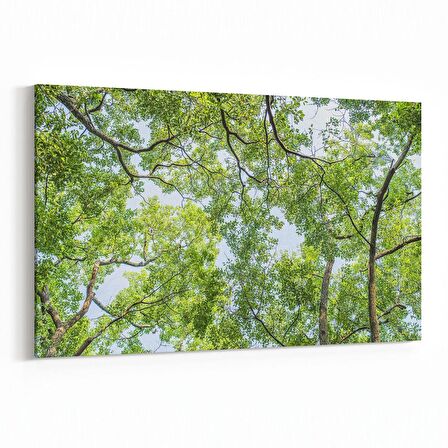 Olla 10624Y Ağaç Görseli Yatay Kanvas Tablo (Ölçü: 90X60)