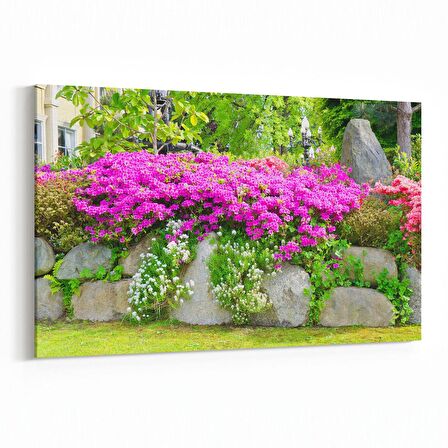 Olla 13213Y Doğa / Manzara Görseli Yatay Kanvas Tablo (Ölçü: 30X20)