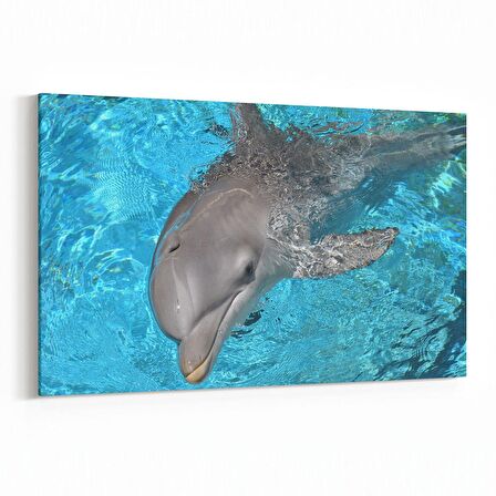 Olla 12902Y Deniz / Okyanus Görseli Yatay Kanvas Tablo (Ölçü: 90X60)