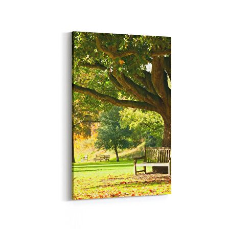 Olla 13431D Doğa / Manzara Görseli Dikey Kanvas Tablo (Ölçü: 100X150)