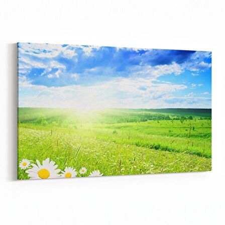 Olla 13754Y Doğa / Manzara Görseli Yatay Kanvas Tablo (Ölçü: 30X20)