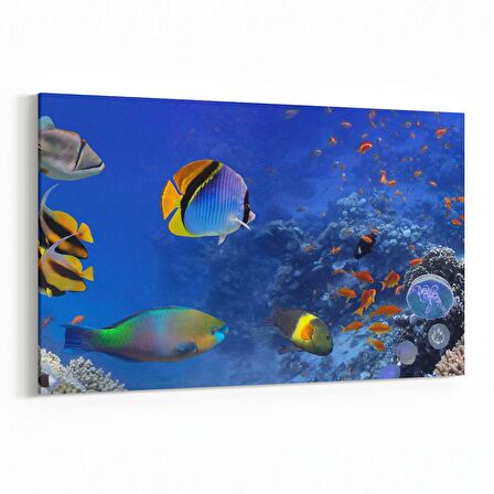Olla 12151Y Akvaryum / Balık Görseli Yatay Kanvas Tablo (Ölçü: 45X30)