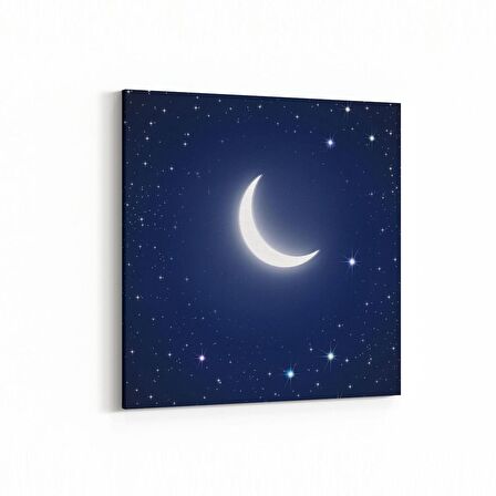 Olla 14829K Gece Gökyüzü Görseli Kare Kanvas Tablo (Ölçü: 100X100)