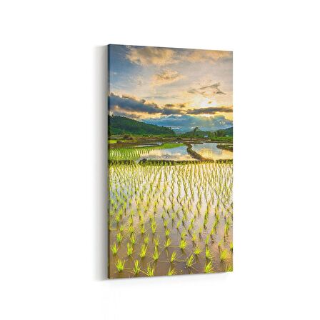 Olla 16040DD Günbatımı Görseli Dikey Dar Kanvas Tablo (Ölçü: 40X80)