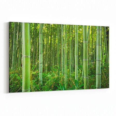 Olla 14377Y Doğa / Manzara Görseli Yatay Kanvas Tablo (Ölçü: 45X30)