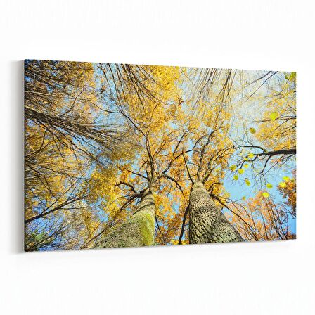 Olla 10802Y Ağaç Görseli Yatay Kanvas Tablo (Ölçü: 45X30)